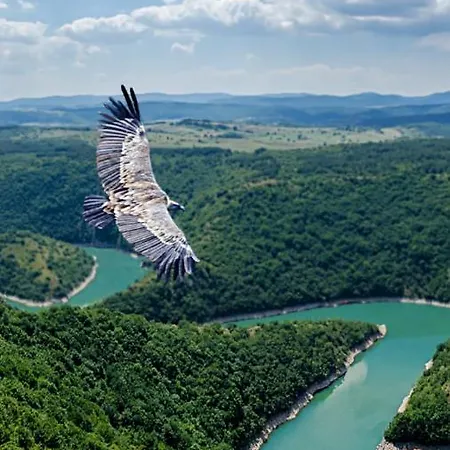 Dağ evi Milanova Koliba Zlatar