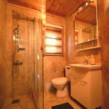 Milanova Koliba Zlatar Dağ evi *